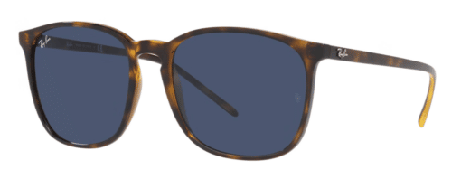 Ray-Ban RB4387 710/80 zonnebril